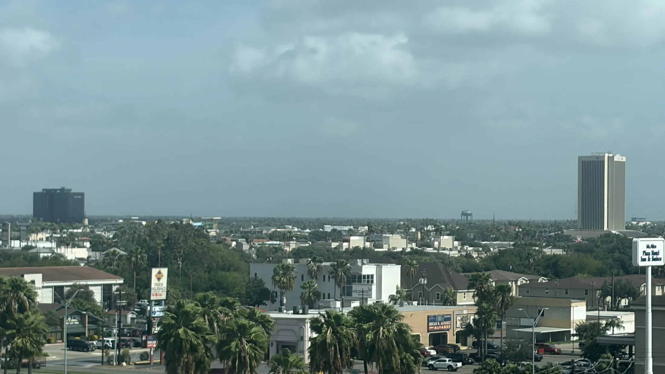 View across the McAllen, Texas skyline with palm trees and low-rise buildings